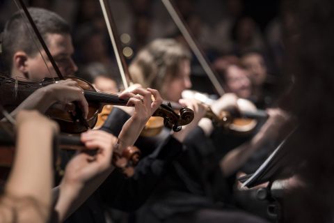 Een groep muzikanten speelt samen op violen. De scène toont geconcentreerde gezichten en de bewegingen van de strijkstokken.
