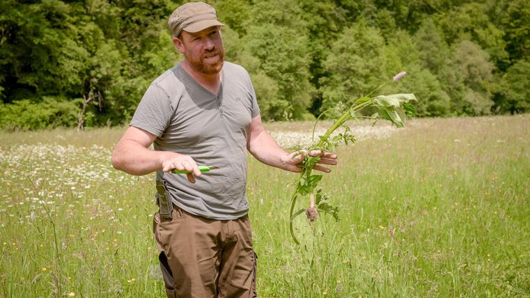 Ein Mann steht auf einer Wiese und hält eine Pflanze in der Hand. Er scheint etwas zu erklären und die Umgebung ist grün und blühend.