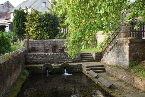 Lavoir historique avec bassin d'eau et murs de pierre, entouré d'arbres et de végétation.