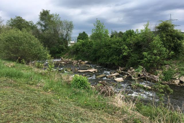 Ein kleiner Fluss fließt durch eine grüne Landschaft mit Bäumen und Büschen unter einem bewölkten Himmel.
