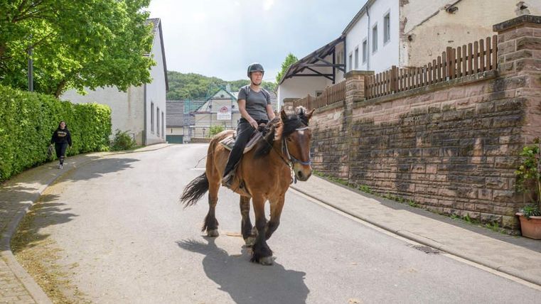 Eine Person reitet auf einem Pferd die Straße entlang. Im Hintergrund sind grüne Bäume und Gebäude zu sehen.