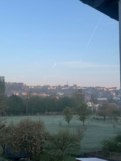 Un paysage doux avec de l'herbe gelée et des arbres. En arrière-plan, il y a des maisons et un ciel bleu clair.