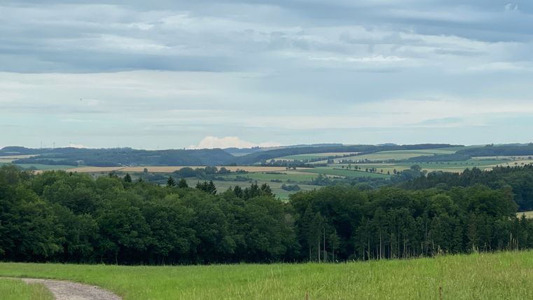 Panoramaansicht einer grünen Landschaft mit Wald und Feldern unter bewölktem Himmel.