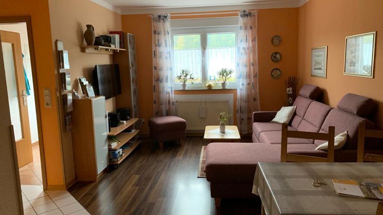 Ein gemütliches Wohnzimmer mit einem ausziehbaren Sofa, einem Fernseher und warmen orangefarbenen Wänden. Das Fenster ist mit Vorhängen dekoriert und es sind einige Pflanzen auf der Fensterbank.