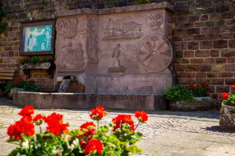 Dorpsfontein met reliëfs en rode bloemen op de voorgrond.