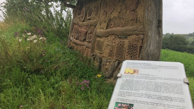 Ein Insektenhotel aus Holz und Lehm steht auf einer Wiese mit Wildblumen. Ein Schild erklärt die Funktion des Wildbienenhauses.