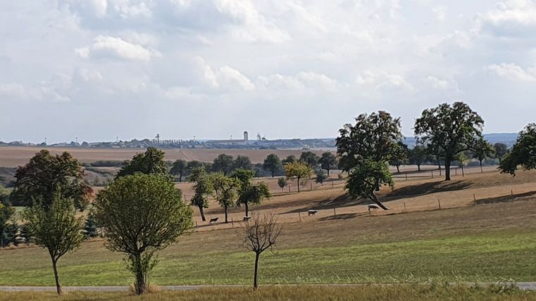 Landschaft mit Bäumen und Blick auf AirBase Spangdahlem in der Ferne.