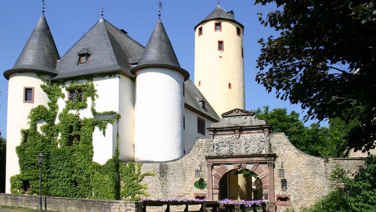 Ein historisches Schloss mit Türmen und einem schönen Tor. Umgeben von grünen Pflanzen und klarem Himmel.