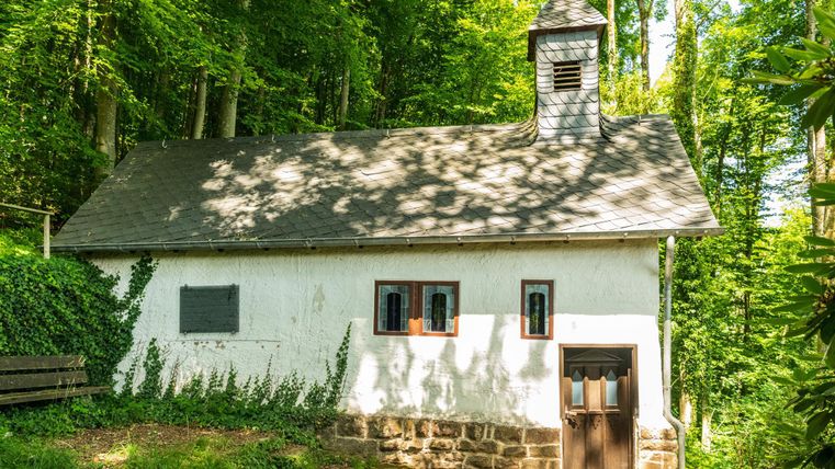 Ein kleines, charmantes Häuschen im Wald mit einer Dachlaterne. Es hat eine weiße Fassade und wird von Bäumen umgeben.