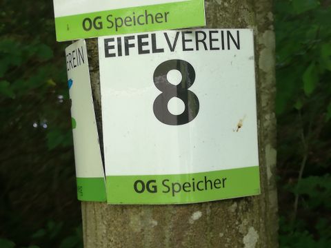 Ein Schild des Eifelvereins mit der Nummer 8 an einem Baum.
