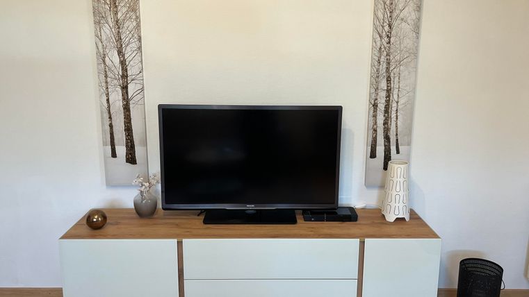 Een televisie staat op een modern meubelstuk met een houten oppervlak. Op de achtergrond hangen twee schilderijen van berken.