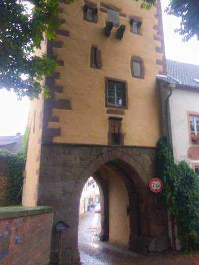 Ein historisches Tor mit einer gelben Fassade und Naturstein. Es führt in eine schmale Gasse und ist von Bäumen umgeben.