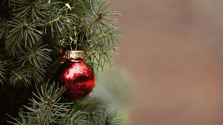 A red Christmas tree ornament hangs on a green pine branch. The atmosphere is festive and cozy.