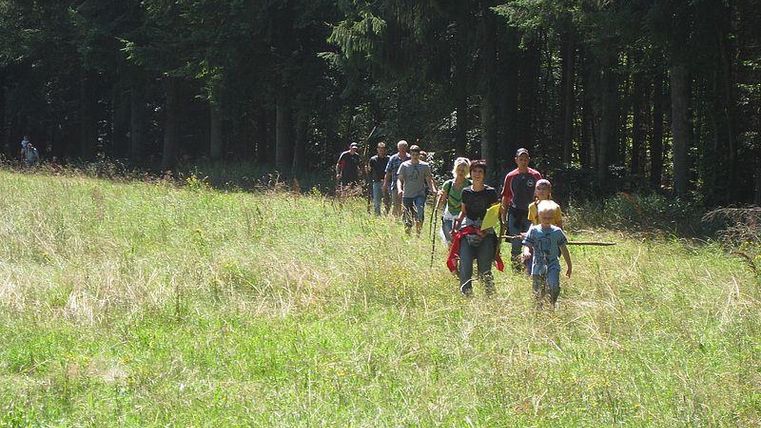Eine Gruppe von Menschen wandert durch eine grüne Wiese. Im Hintergrund sind Bäume zu sehen, die einen schönen Wald bilden.