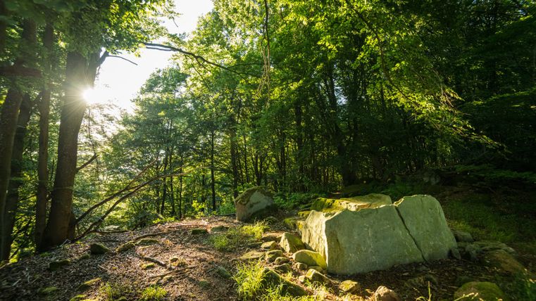 Steinkistengrab im Wald mit Sonnenlicht durch die Bäume.