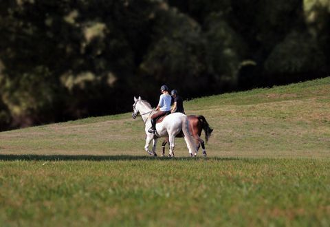 Two people are riding on a horse in a green meadow. In the background, trees can be seen.