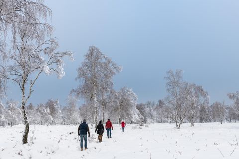 Eine Gruppe von Menschen wandert durch eine verschneite Landschaft. Die Bäume sind mit Schnee bedeckt und der Himmel ist bewölkt.
