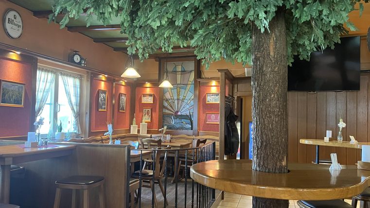 A cozy restaurant with wooden decor and a large artificial plant in the center. There are tables, chairs, and a friendly atmosphere.