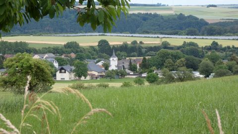 Blick auf ein Dorf mit Kirche, umgeben von grünen Feldern und Bäumen.