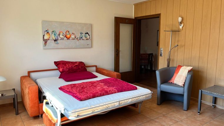 Ein gemütliches Zimmer mit einem ausziehbaren Bett und bunten Kissen. An der Wand hängt ein Bild von Vögeln, und es gibt einen Sessel sowie einen kleinen Tisch.