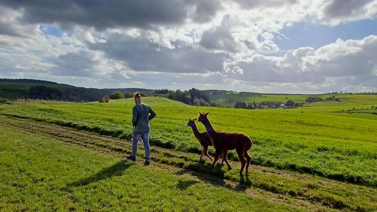 Ein Mann steht auf einem grünen Feld und blickt auf zwei Lamas, die ihn begleiten. Der Himmel ist bewölkt, und die Landschaft wirkt idyllisch und weitläufig.