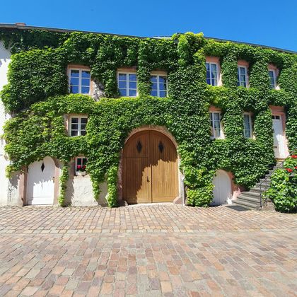 Une charmante maison avec une façade verdoyante. Entourée d'une cour pavée et d'un ciel bleu clair.