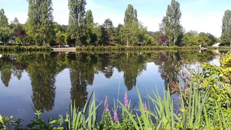 Un lac paisible entouré de grands arbres et de plantes colorées. Le reflet des arbres dans l'eau crée une atmosphère sereine.