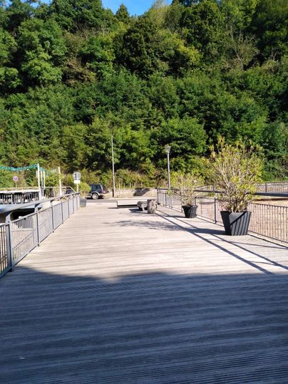 Ein geräumiger Holzsteg umgeben von grünen Bäumen. Einige Pflanzen in Töpfen stehen entlang des Weges.