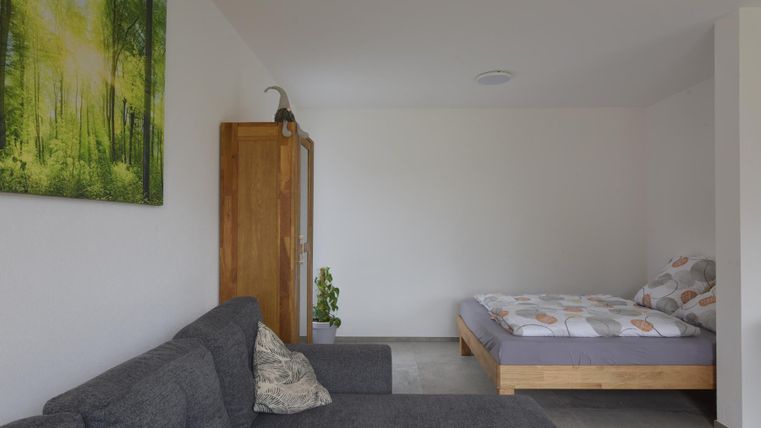 Ein wohnlicher Raum mit einem grauen Sofa und einem Bett. An der Wand hängt ein Bild von einem Wald.