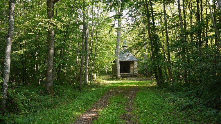 Eine kleine Kapelle im Wald, umgeben von Bäumen und einem schmalen Pfad.
