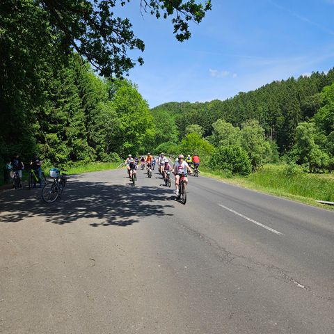 Un groupe de cyclistes roule sur une route de campagne entourée d'arbres verts. Le soleil brille et le paysage est vivant et accueillant.
