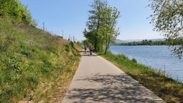 Zwei Radfahrer auf einem Weg entlang eines Flusses bei sonnigem Wetter.