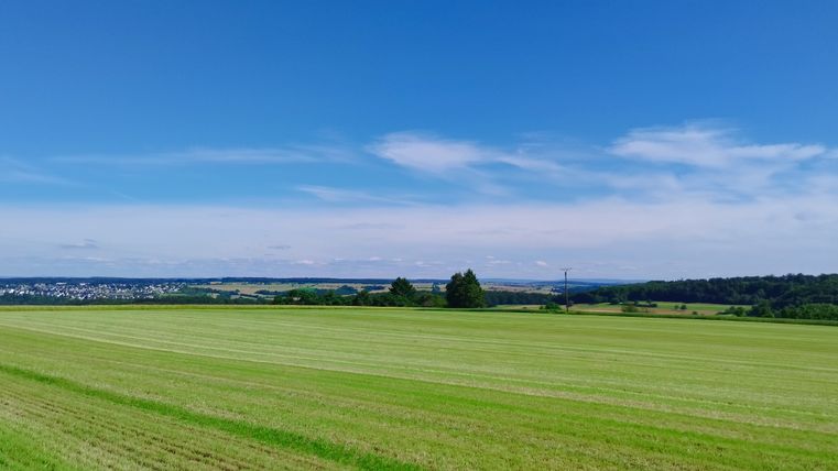 Weite grüne Wiesen mit einem Dorf am Horizont unter blauem Himmel.