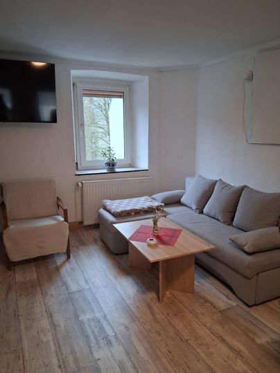 Ein gemütliches Wohnzimmer mit einem grauen Sofa, einem Holztisch und einem Fernseher an der Wand. Ein Fenster lässt Tageslicht herein und es gibt einen kleinen Pflanzenkorpus auf der Fensterbank.