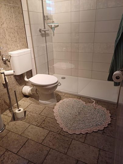 Ein modernes Badezimmer mit einer Dusche und einer Toilette. Ein herzförmiger Teppich liegt auf dem Boden.