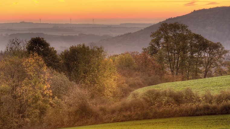 Landschaft bei Sonnenuntergang mit Bäumen und Hügeln im Hintergrund.
