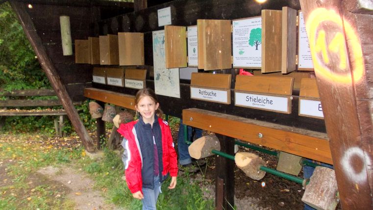 Kind bei einer Walderlebnisstation mit Holzproben.