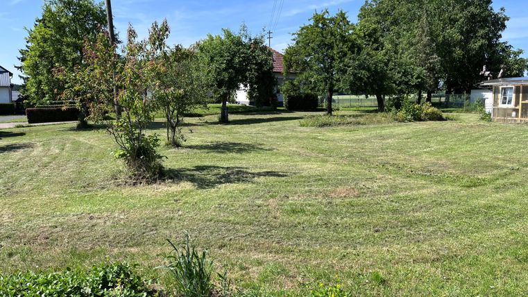 Eine gepflegte Rasenfläche mit einigen Bäumen und Sträuchern. Im Hintergrund steht ein Gebäude und der Himmel ist blau mit wenigen Wolken.
