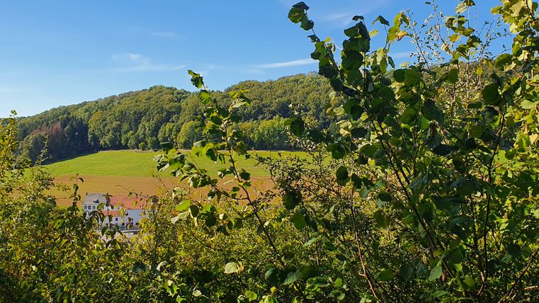 Blick auf ein altes Bauernhaus im Tal, umgeben von Bäumen und Wiesen.
