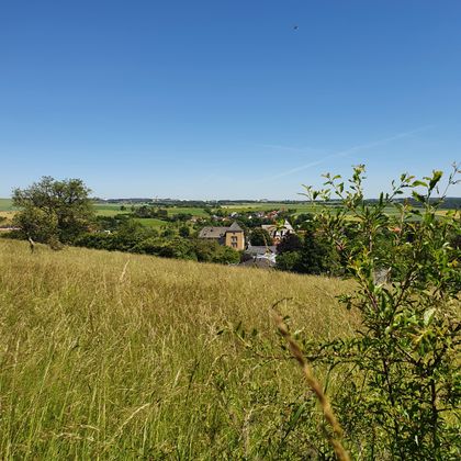 Landschaft mit Blick auf Dudeldorf und Burg im Hintergrund.