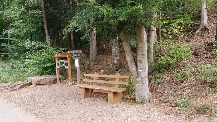 Eine Holzbank steht neben einem Schild mit der Aufschrift 'Walderlebnispfad' im Wald.