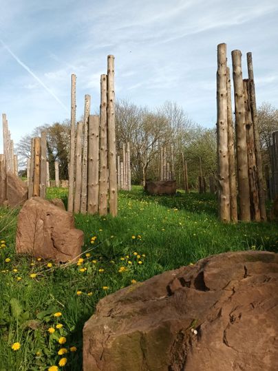 A meadow with several vertical wooden logs and large stones. Dandelion flowers are blooming in the grass.