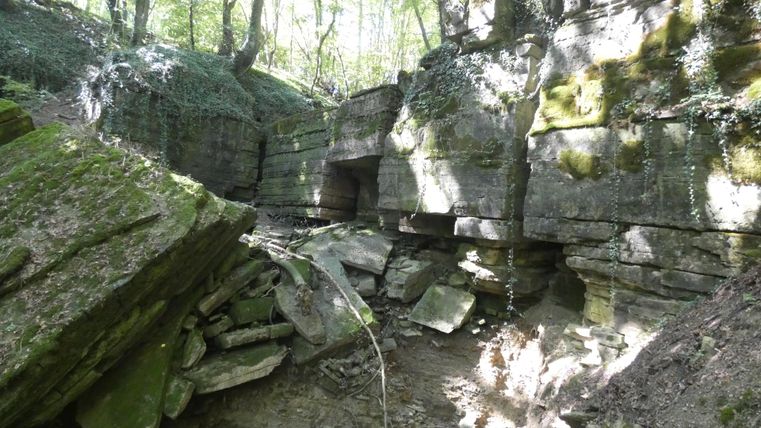 Eine geheimnisvolle Schlucht mit großen, moosbedeckten Felsen. Das Licht bricht durch die Bäume und schafft eine ruhige Atmosphäre.