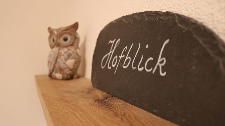Een houten plank met een zwarte steen, waarop "Hofblick" staat, en een decoratieve uil. Het beeld geeft een gezellige sfeer weer.