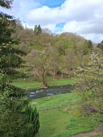 Eine ruhige Flusslandschaft mit grünen Wiesen und Bäumen. Der Himmel ist teilweise bewölkt und zeigt einige blaue Flecken.