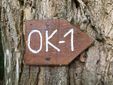 Holzschild mit der Aufschrift 'OK-1' an einem Baumstamm.