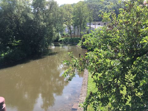 Fluss Prüm in Oberweis mit Bäumen und Gebäuden im Hintergrund.