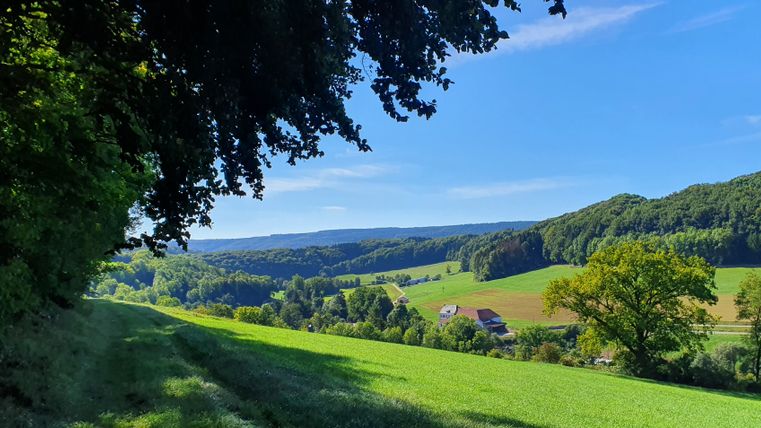 Panoramablick über das Enztal mit grünen Wiesen und Wäldern unter blauem Himmel.