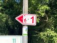 Wegweiser mit Wanderer-Symbol und der Zahl 1, umgeben von Bäumen.