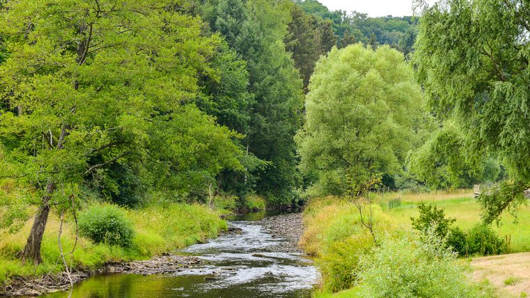 Ein kleiner Fluss fließt durch eine grüne, bewaldete Landschaft.